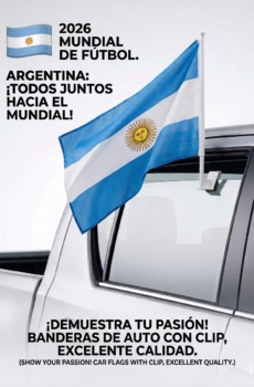 Bandera Argentina Con Soporte para Auto